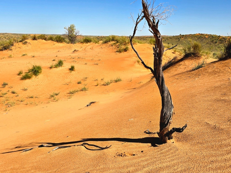 Commercial Property for Sale in Upington Rural Northern Cape